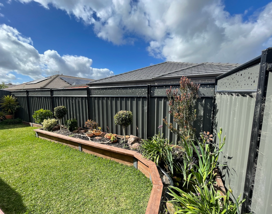 Screenline – Case Study