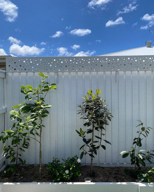 Fence Extension Kits for Timber Fences